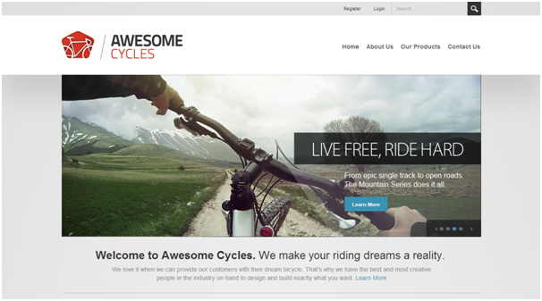 Login into DotNetNuke